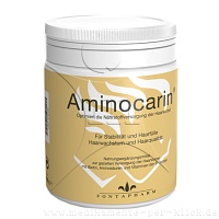 AMINOCARIN Pulver Dose - 200g