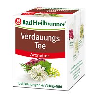 BAD HEILBRUNNER Verdauungstee Filterbeutel - 8X2.0g