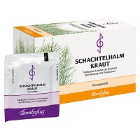 SCHACHTELHALMKRAUT Tee Filterbeutel - 20X2g - Teespezialitäten