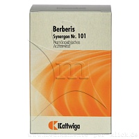 SYNERGON KOMPLEX 101 Berberis Tabletten - 200Stk