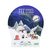 TEE ADVENTSKALENDER Salus Filterbeutel - 24Stk