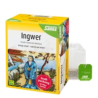 INGWER KRÄUTER-GEWÜRZTEE-Mischung Bio Salus Fbtl. - 40Stk