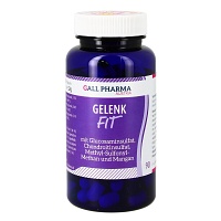 GELENK-FIT GPH Kapseln - 90Stk