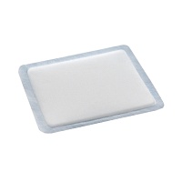 VLIWASORB superabsorb.Saugkomp.steril 10x10 cm - 10Stk