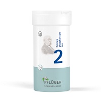 BIOCHEMIE Pflüger 2 Calcium phosphoricum D 6 Tabl. - 400Stk - Nerven, Muskeln & Gelenke