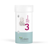 BIOCHEMIE Pflüger 3 Ferrum phosphoricum D 12 Tabl. - 400Stk - Erkältung