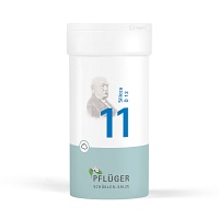 BIOCHEMIE Pflüger 11 Silicea D 12 Pulver - 100g - Pflüger