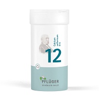 BIOCHEMIE Pflüger 12 Calcium sulfuricum D 6 Pulver - 100g - Pflüger