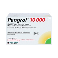 PANGROL 10.000 Hartkps.m.magensaftr.überz.Pell. - 100Stk