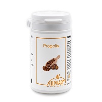 PROPOLIS+VITAMINE Kapseln - 60Stk