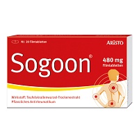 SOGOON 480 mg Filmtabletten - 20Stk