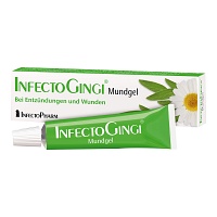 INFECTOGINGI Mundgel - 20g