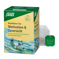 BACHBLÜTEN TEE Motivation&Zuversicht Bio Salus Fbt - 15Stk