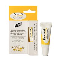 PROPOLIS LIPPENBALSAM Tube - 10ml