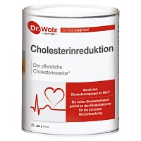CHOLESTERINREDUKTION Dr.Wolz Pulver - 224g