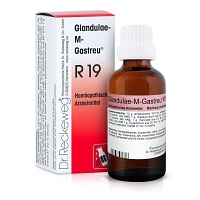 GLANDULAE-M-Gastreu R19 Mischung - 50ml