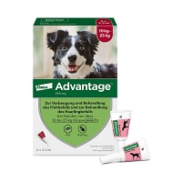 ADVANTAGE 250 Lösung f.Hunde 10-25 kg - 4Stk - advantage