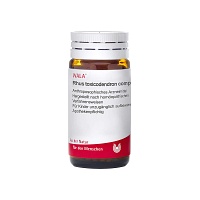 RHUS TOXICODENDRON COMP Globuli - 20g