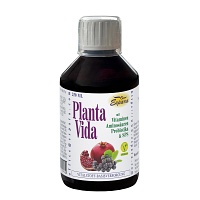 PLANTA VIDA Saft - 250ml
