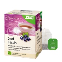 COOL CASSIS Kräutertee Salus Filterbeutel - 15Stk