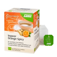INGWER ORANGE Spicy Tee Salus Filterbeutel - 15Stk - Teespezialitäten