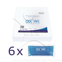 COOLSAFE Kühlakku-Set m.6 Akkus - 1Stk