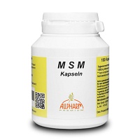 MSM 500 mg Kapseln - 100Stk