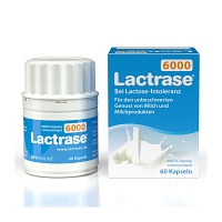 LACTRASE 6.000 FCC Kapseln - 60Stk - Lactoseintoleranz