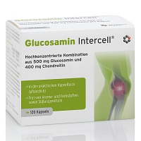 GLUCOSAMIN INTERCELL Kapseln - 120Stk
