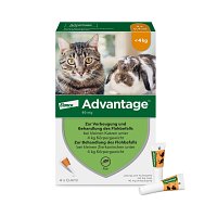 ADVANTAGE 40 mg Lsg.f.kl.Katzen/kl.Zierkaninchen - 4X0.4ml - advantage
