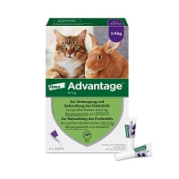 ADVANTAGE 80 mg f.gr.Katzen u.gr.Zierkaninchen - 4X0.8ml - advantage