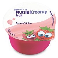 NUTRINI Creamy Fruit Beerenfrüchte - 4X100g - Nahrungsergänzung