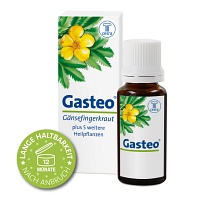 GASTEO Tropfen zum Einnehmen - 20ml - Magen, Darm & Leber