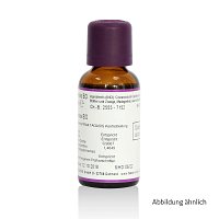KIEFERNNADEL ÖL Bio - 30ml