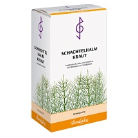 SCHACHTELHALMKRAUT Tee - 100g