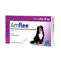 AMFLEE 402 mg Spot-on Lsg.f.sehr gr.Hunde 40-60kg - 6Stk - Zecken, Flöhe & Co.