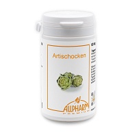 ARTISCHOCKEN ALLPHARM Premium Kapseln - 60Stk