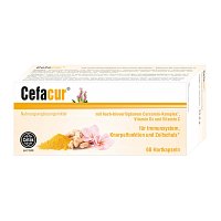 CEFACUR Hartkapseln - 60Stk
