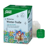 WINTER-TROLLE Gewürztee Bio Salus Filterbeutel - 15Stk