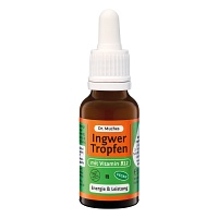 INGWERTROPFEN+Vitamin B12 Dr.Muches - 20ml