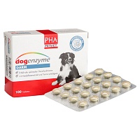 DOGENZYME Darm magensaftres.Filmtabletten vet. - 100Stk - Haut & Fell