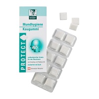 BADERS Protect Gum Mundhygiene - 20Stk