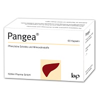 PANGEA Kapseln - 60Stk - Entgiften-Entschlacken-Entsäuern