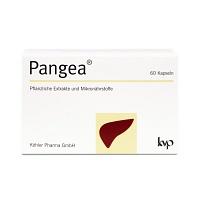 PANGEA Kapseln - 60Stk - Entgiften-Entschlacken-Entsäuern