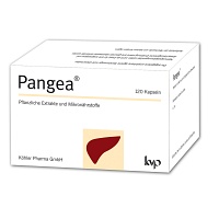 PANGEA Kapseln - 120Stk - Entgiften-Entschlacken-Entsäuern
