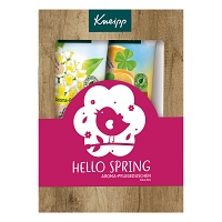 KNEIPP Geschenkpackung Hello Spring - 2X200ml - Geschenksets