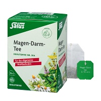 MAGEN-DARM TEE Kräutertee Nr.20a Bio Salus Fbtl. - 15Stk