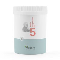 BIOCHEMIE Pflüger 5 Kalium phosphoricum D 6 Pulver - 250g - Biochemie Pflüger