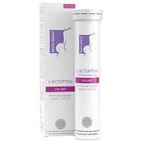 MULTI-MAM LactaMax Brausetabletten - 20Stk