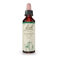 BACHBLÜTEN Original 33 Walnut Tropfen - 10ml - Bachblüten-Orginal®